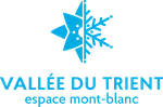 logo_V1_bleu